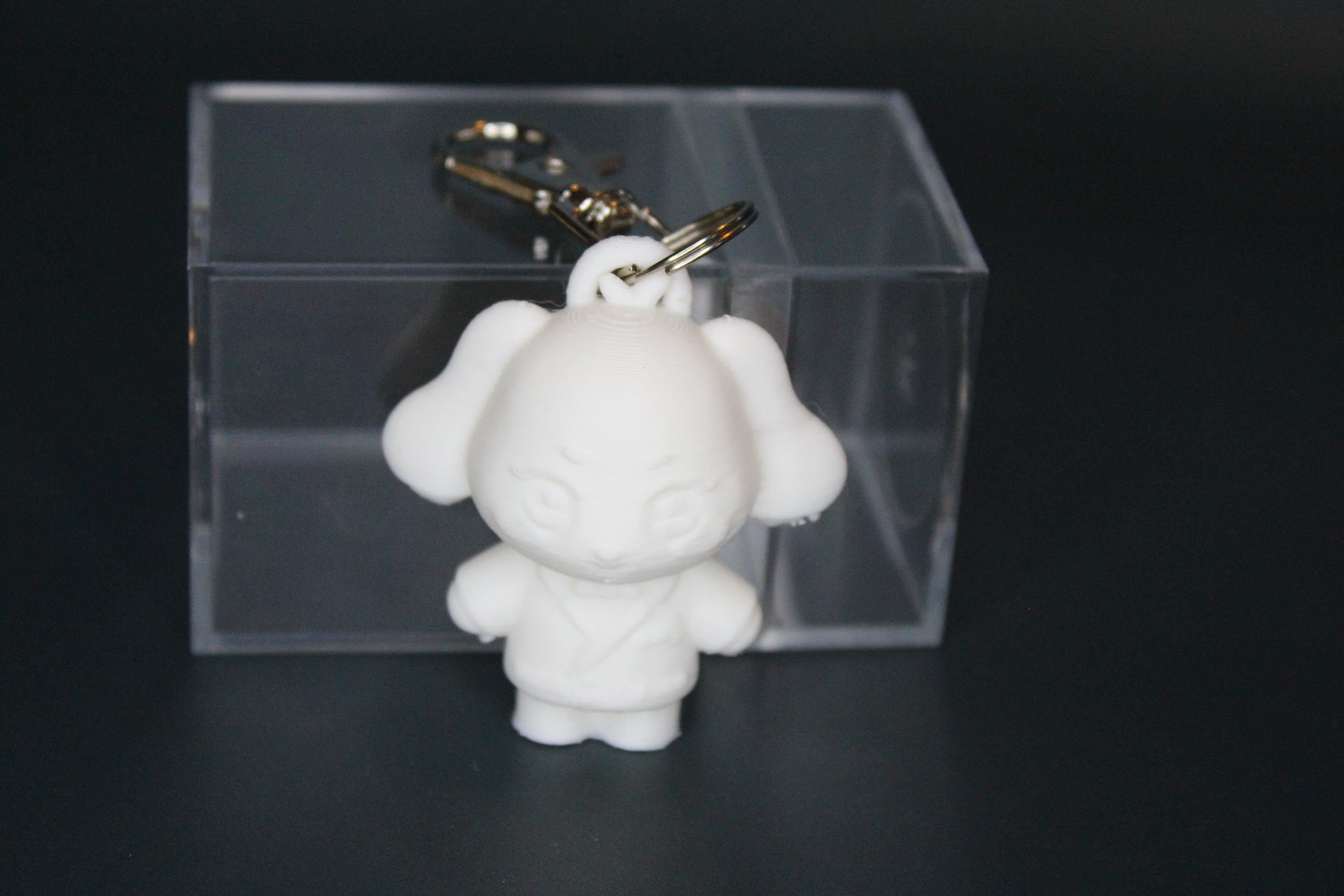 Aniteez Keychains