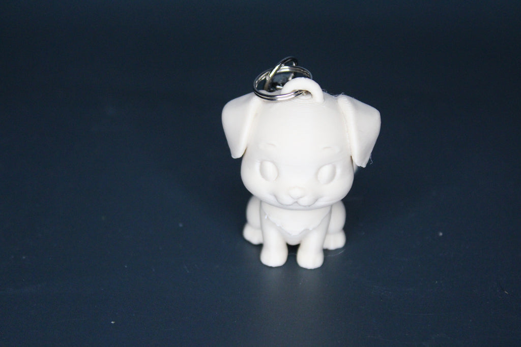 Enhypen "ENZOO" Keychains